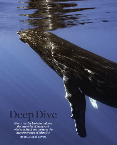 Deep Dive (image)